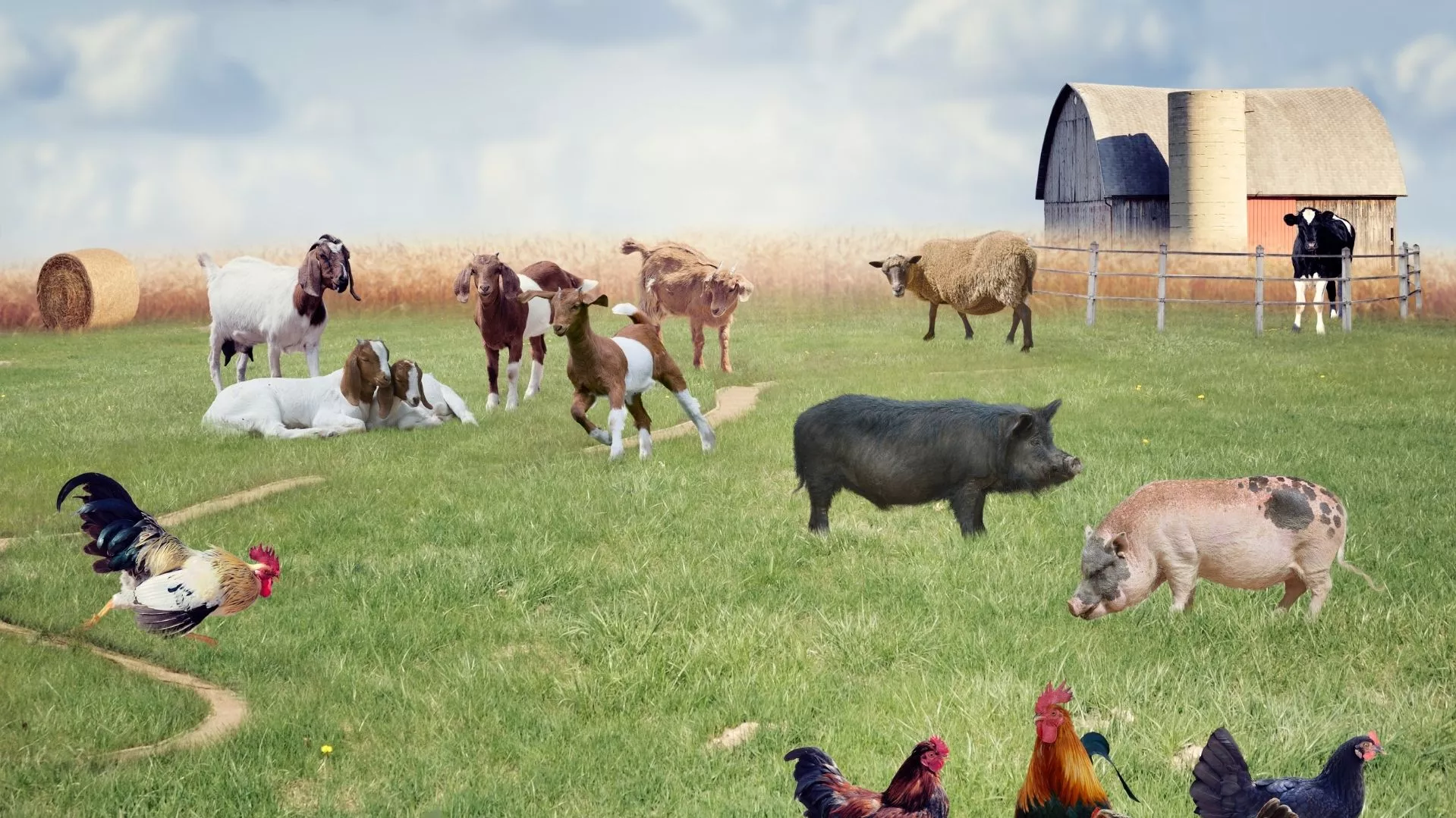 The Benefits of Farm Animals - BC Farm & Ranch Realty